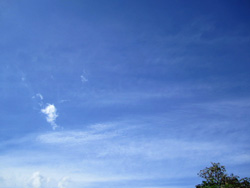 f0038336_7222474.jpg