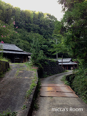 b0245038_0123538.jpg