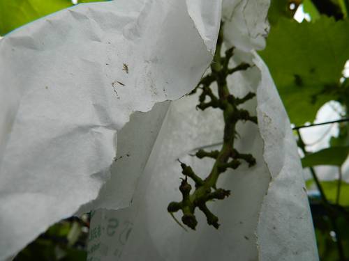 b0218444_14395877.jpg