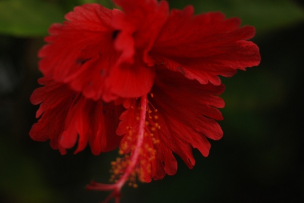 f0229844_21401195.jpg