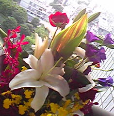 d0289252_21595963.jpg