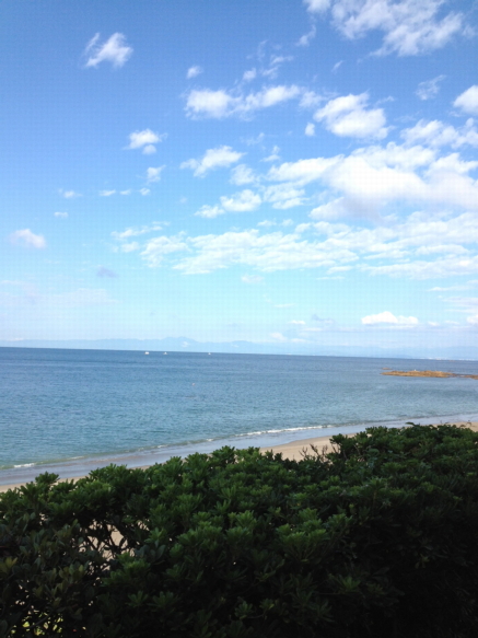 c0224154_84254.jpg