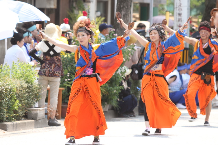 第60回よさこい祭り 本祭2日目 東印度公司 その1_a0077663_775554.jpg