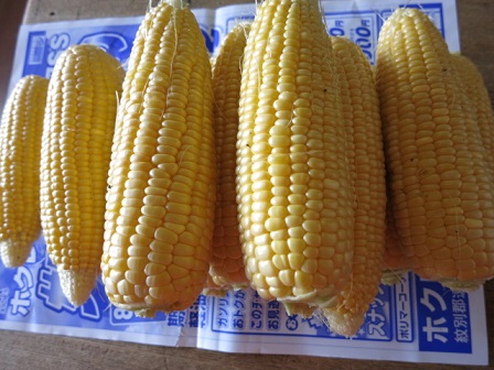 c0229165_8121679.jpg