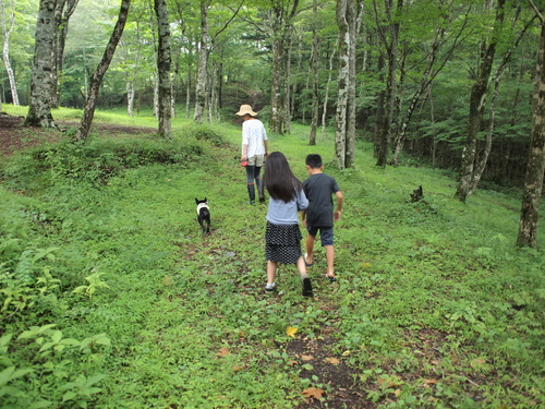 summer camp in 富士山 _e0243765_10495110.jpg