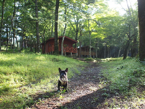 summer camp in 富士山 _e0243765_11325481.jpg