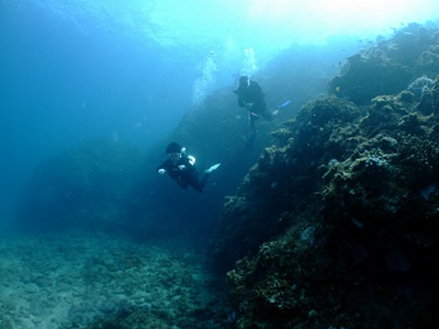 b0033573_18153525.jpg