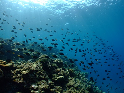 b0033573_1815515.jpg