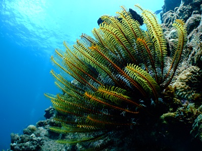 b0033573_1815596.jpg