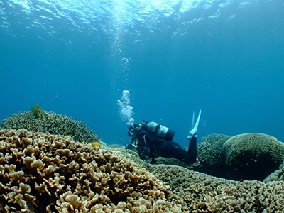 b0033573_18163372.jpg