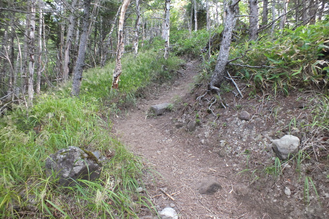 a0040879_23182677.jpg