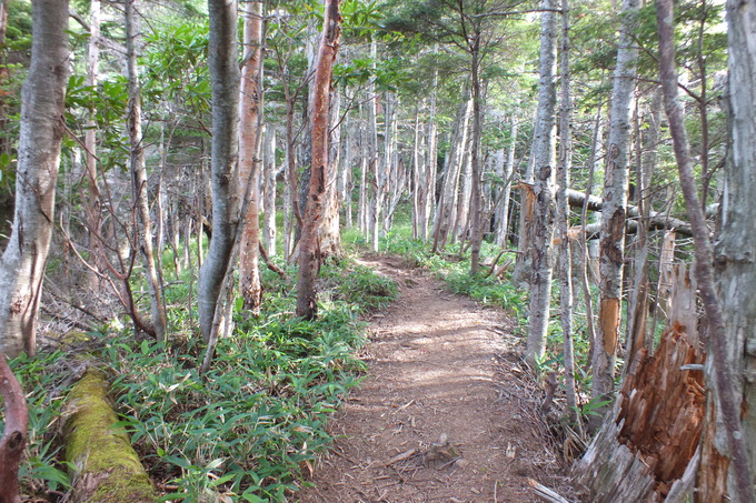 a0040879_23194356.jpg