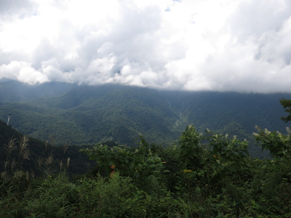 d0042380_1105151.jpg