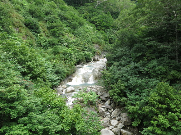 d0042380_114524.jpg