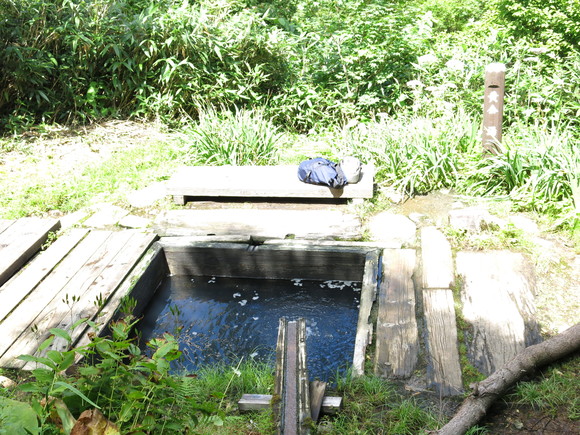 d0042380_1471819.jpg