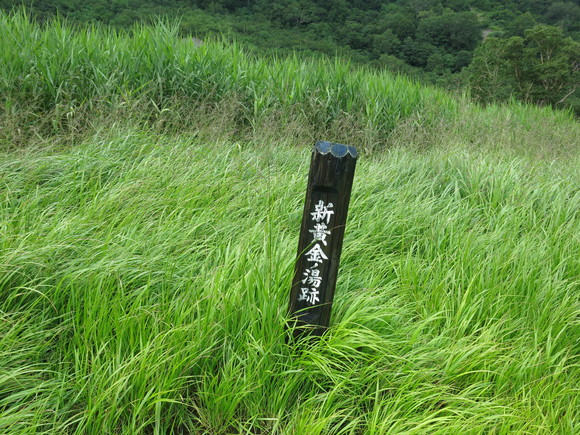 d0042380_159368.jpg