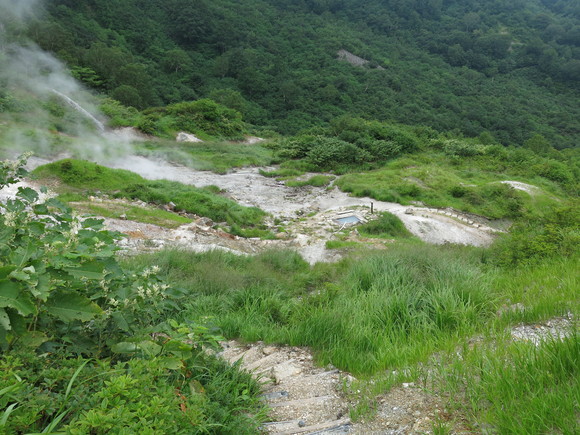 d0042380_216842.jpg