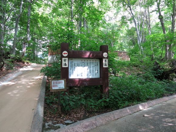 d0042380_238472.jpg