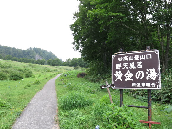 d0042380_3142691.jpg