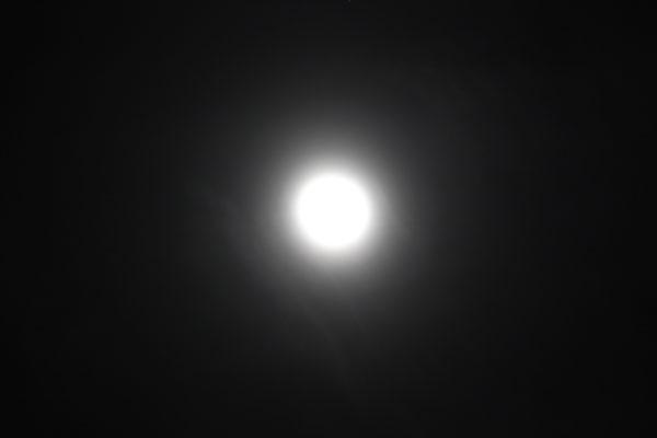 a0232082_60832.jpg