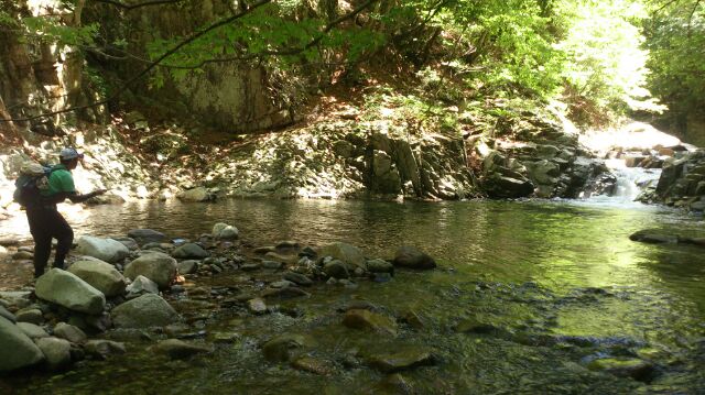 c0157482_1003669.jpg