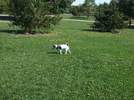 c0253487_05627.jpg