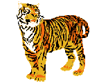 d0090001_23564766.gif