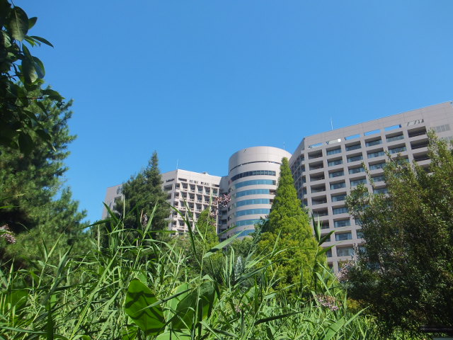 a0271502_1639193.jpg