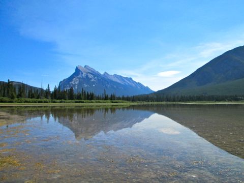 b0051109_9721.jpg