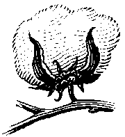 f0231709_1911942.png