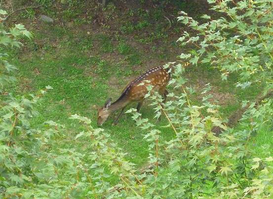 f0008510_17281696.jpg