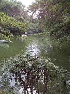 e0309011_21125742.jpg