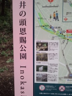 e0309011_21171962.jpg
