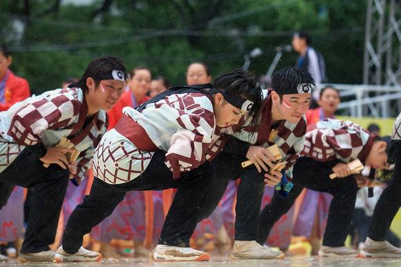 あさぎ　第15回にっぽんど真ん中祭り　2日目_c0115616_204581.jpg