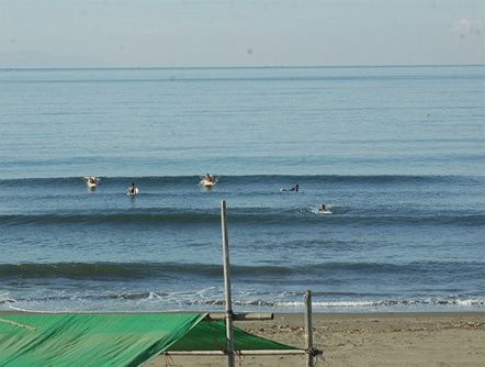 e0171821_1137946.jpg
