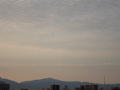 a0172222_11265.jpg