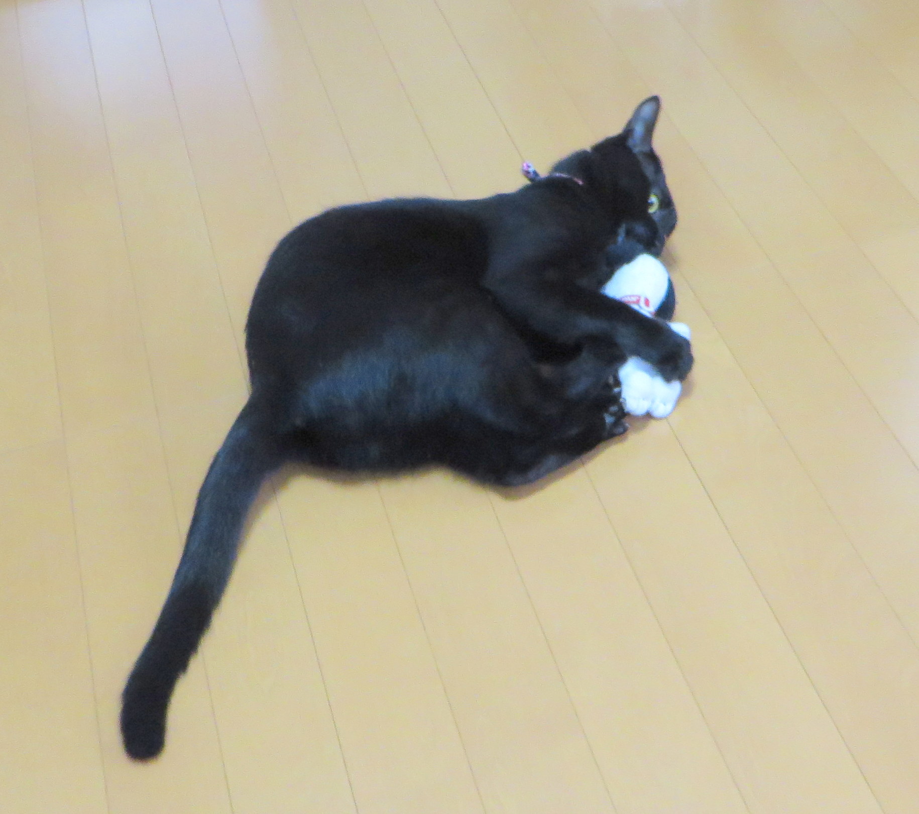 c0280322_23153774.jpg