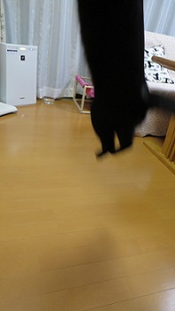 c0280322_2375786.jpg