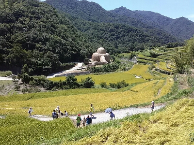 c0289939_1441317.jpg