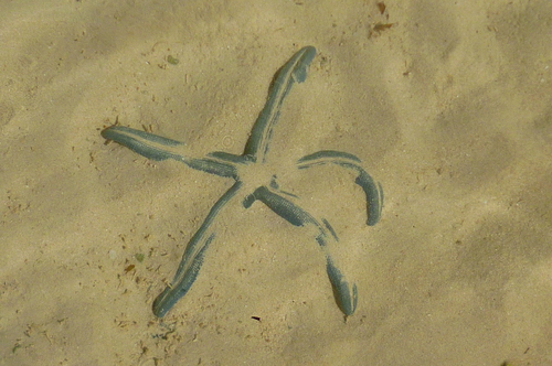 d0170140_4385873.jpg