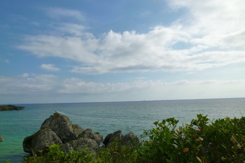d0170140_5494040.jpg