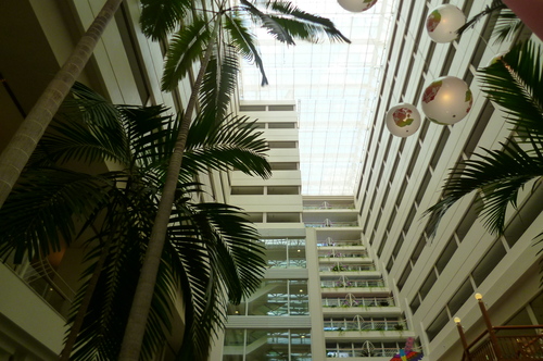 d0170140_574277.jpg