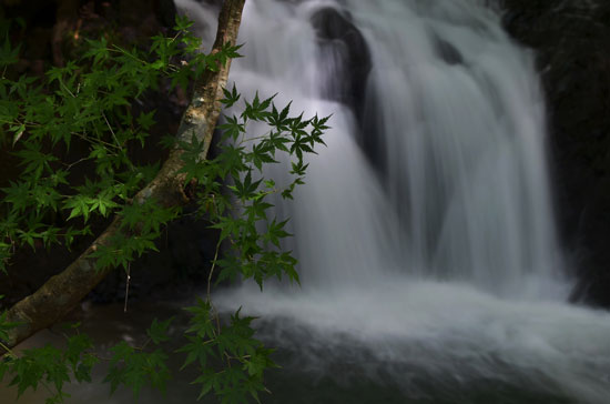 c0093046_6594339.jpg