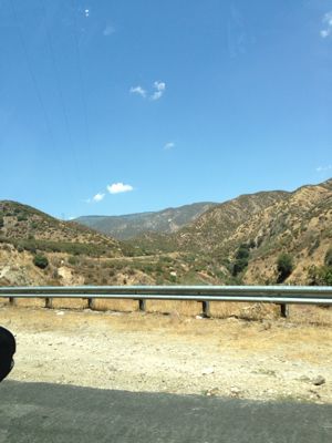 d0321947_78726.jpg
