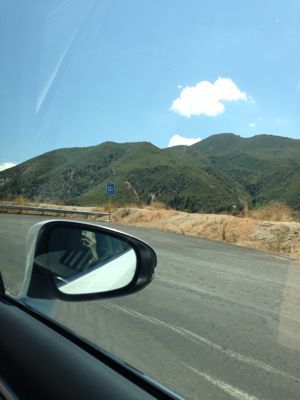 d0321947_78860.jpg