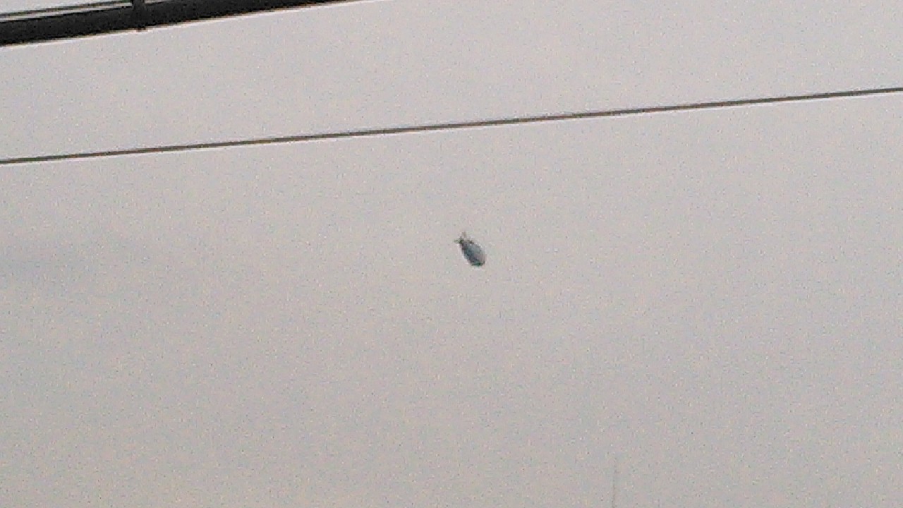 f0188652_14502713.jpg
