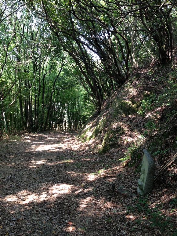 b0228959_22383751.jpg