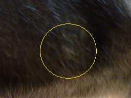 a0241761_22101796.jpg