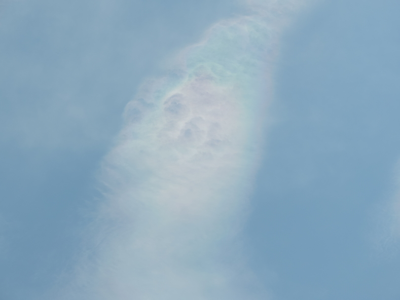 f0233661_1359162.jpg
