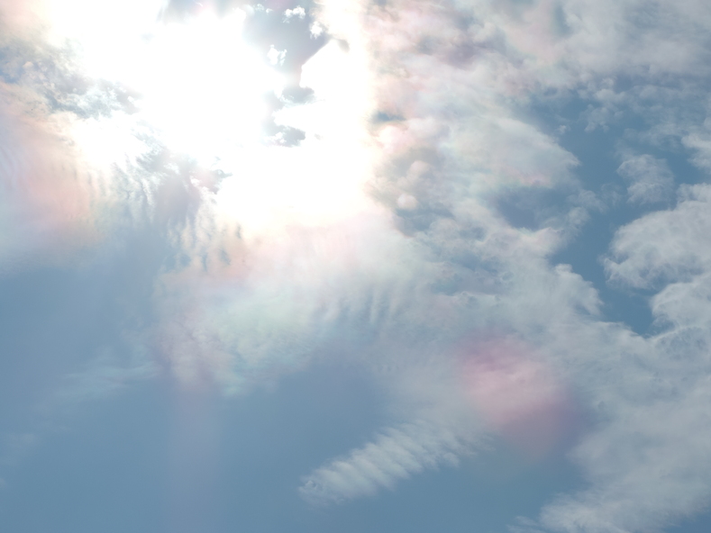 f0233661_13592065.jpg